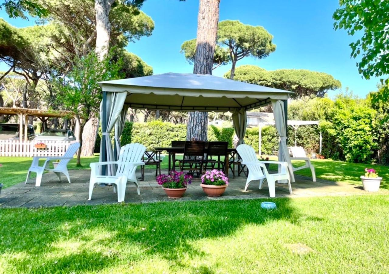 La Meria Di Maria La Terrazza Marina di Grosseto Ngoại thất bức ảnh